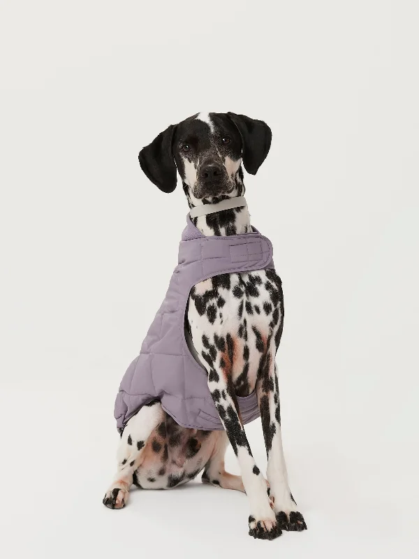 Women's Trendy Casual Clothes The Skyline Dog Jacket in Slate Violet