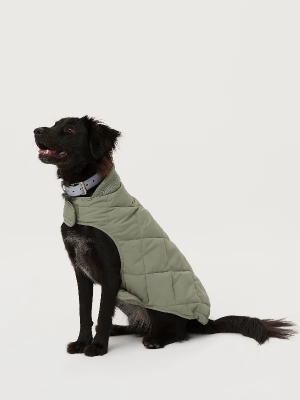 Women's Urban Clothing The Skyline Dog Jacket in Vetiver Green