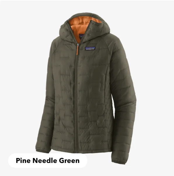 Women's Outerwear Garments Patagonia Women's Micro Puff® Hoody